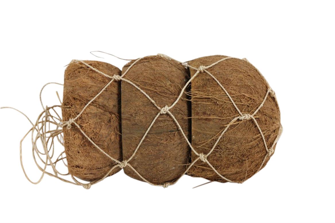 COCCO NATURALE 3 PZ