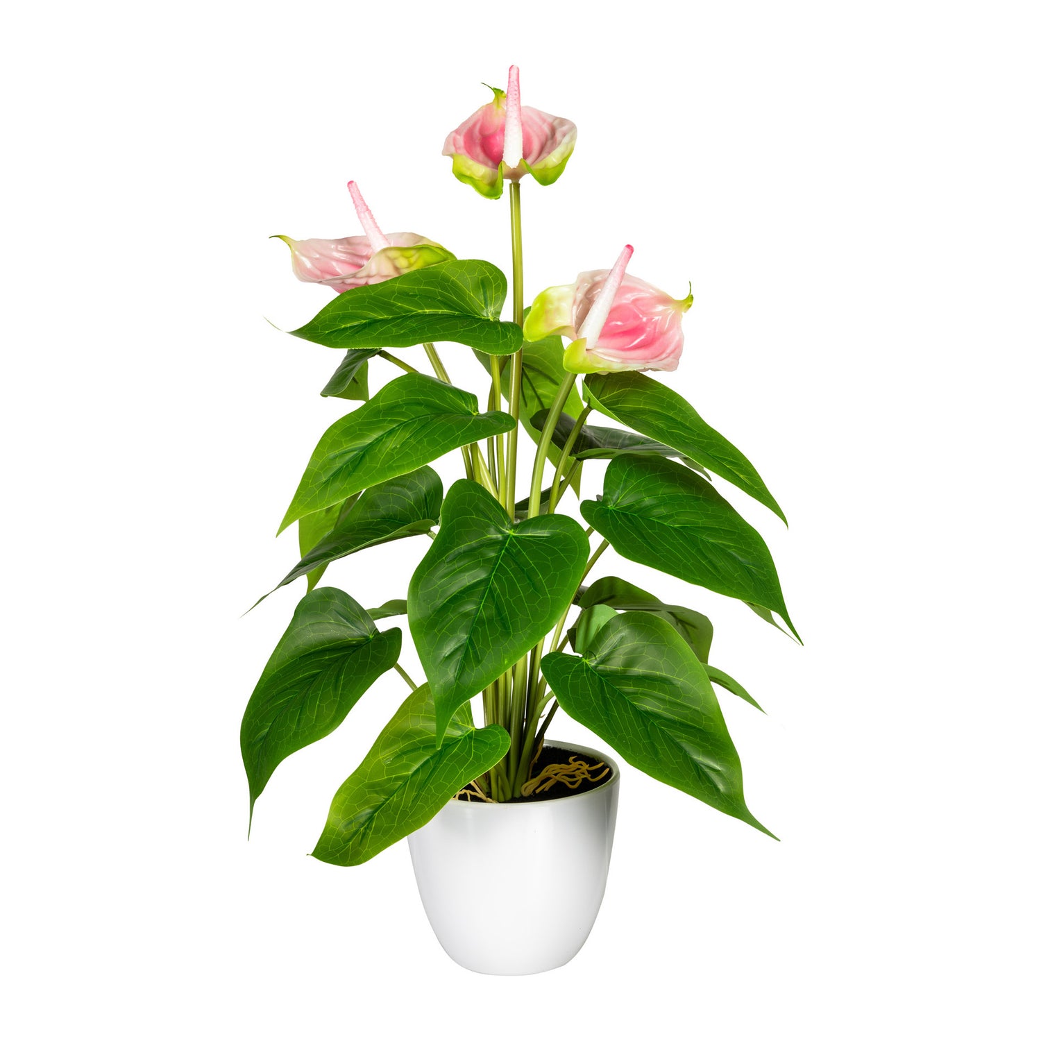 ANTHURIUM REAL-TOUCH 40 CM IN VASO PLASTICA - 3 COLORI DISPONIBILI
