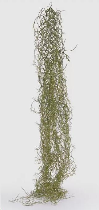 TILLANDSIA WEST ARTIFICIALE PENDENTE REAL-TOUCH H 75 CM EDG - EDG231548-88