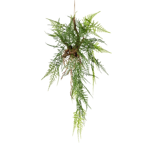 RAMO PENDENTE ASPARAGUS REAL-TOUCH CON RADICE 70 CM - GAS1119004-00