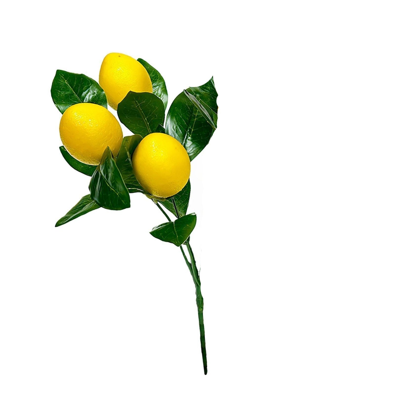 RAMO LIMONE CON FRUTTI CM 40 - DS001274-29