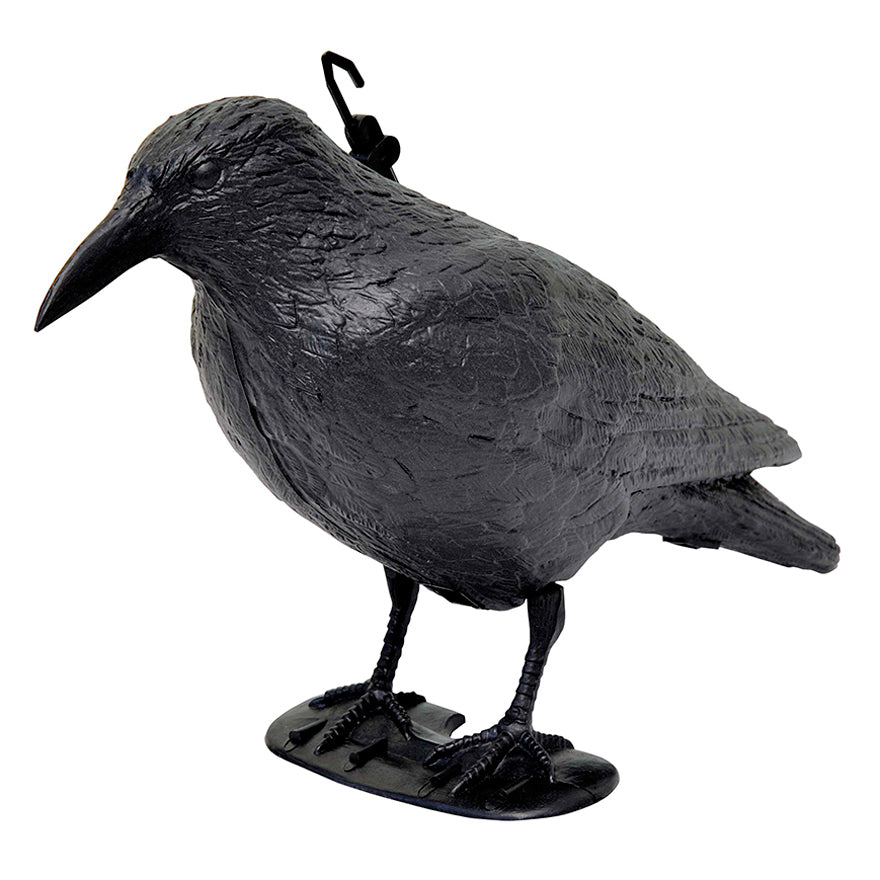 CORVO DISSUASORE PER VOLATILI - VMV004494