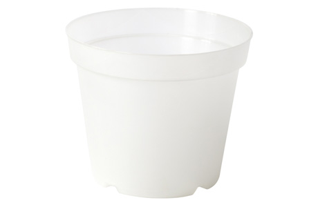 Vaso Orchidea Alabastro