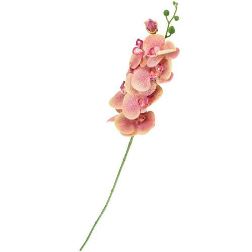 Orchidea Phalaenopsis h 87 cm - Vari Colori