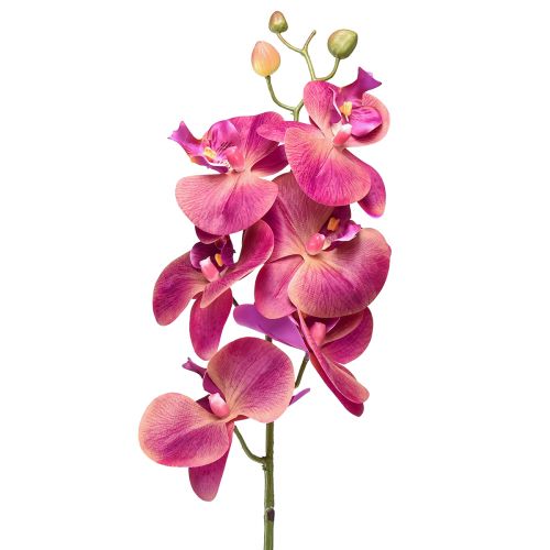Orchidea Phalaenopsis 87 cm - 3 Colori Disponibili
