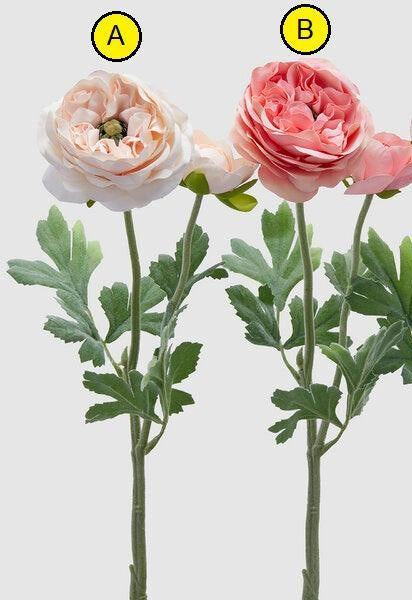 RANUNCOLO CHIC RAMO EDG - 4 COLORI DISPONIBILI