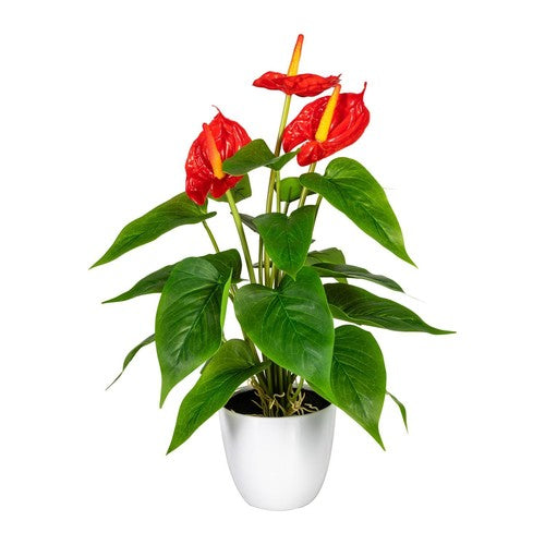 ANTHURIUM REAL-TOUCH 40 CM IN VASO PLASTICA - 3 COLORI DISPONIBILI