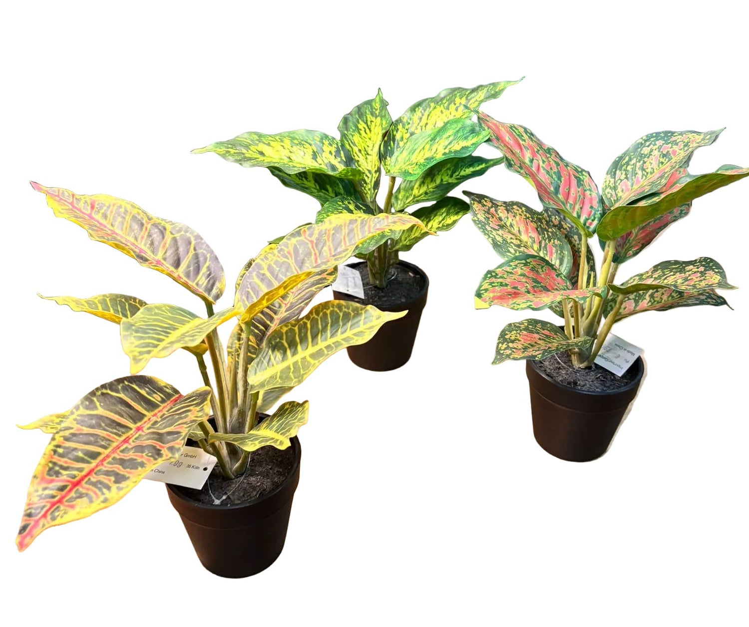 PIANTE VERDI 3 ASSORTITE REAL-TOUCH 25 CM IN VASO PLASTICA 8,5X8 CM - GAS3322801-50