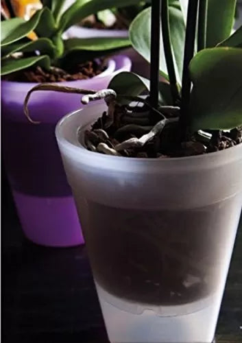 VASO DANTE TRASPARENTE IN PLASTICA PER ORCHIDEE