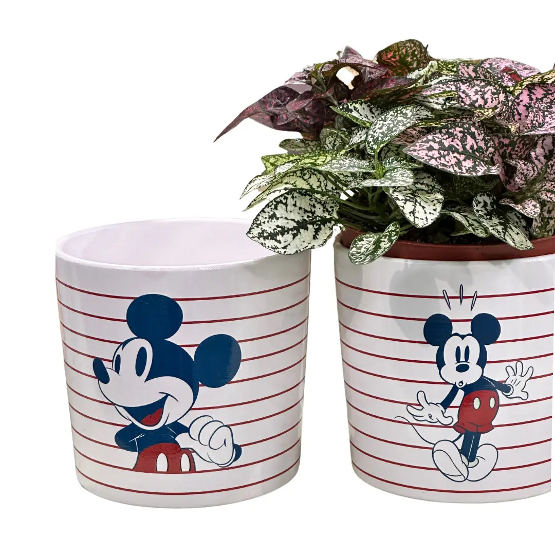 POT MEDIUM SIZE MICKEY 3 DN95272 - VASO MEDIO TOPOLINO