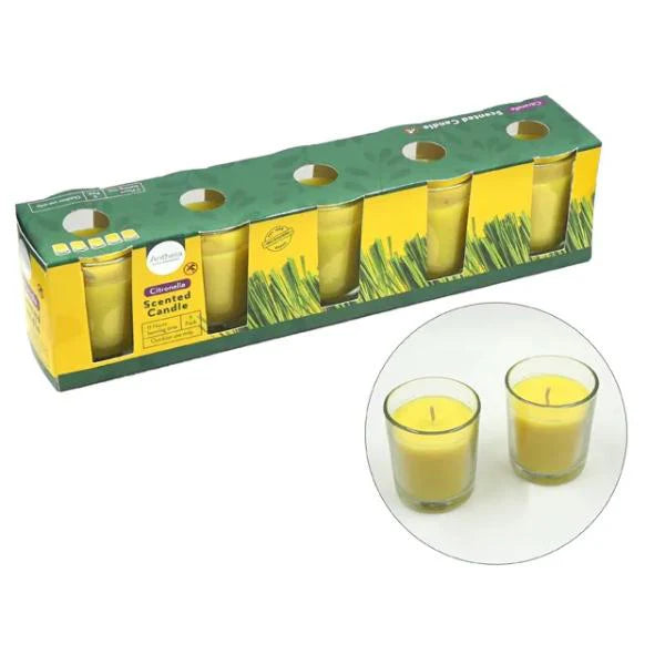 CANDELE AL PROFUMO DI CITRONELLA IN VETRO 5 PZ - 535503
