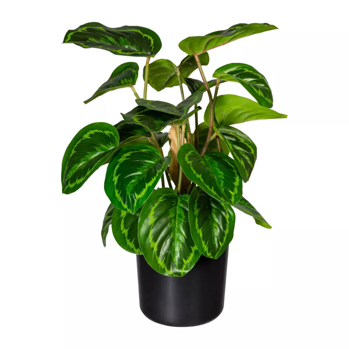 PIANTA ARTIFICIALE MARANTA 45 CM REAL-TOUCH CON VASO PLASTICA - GAS3321820-50