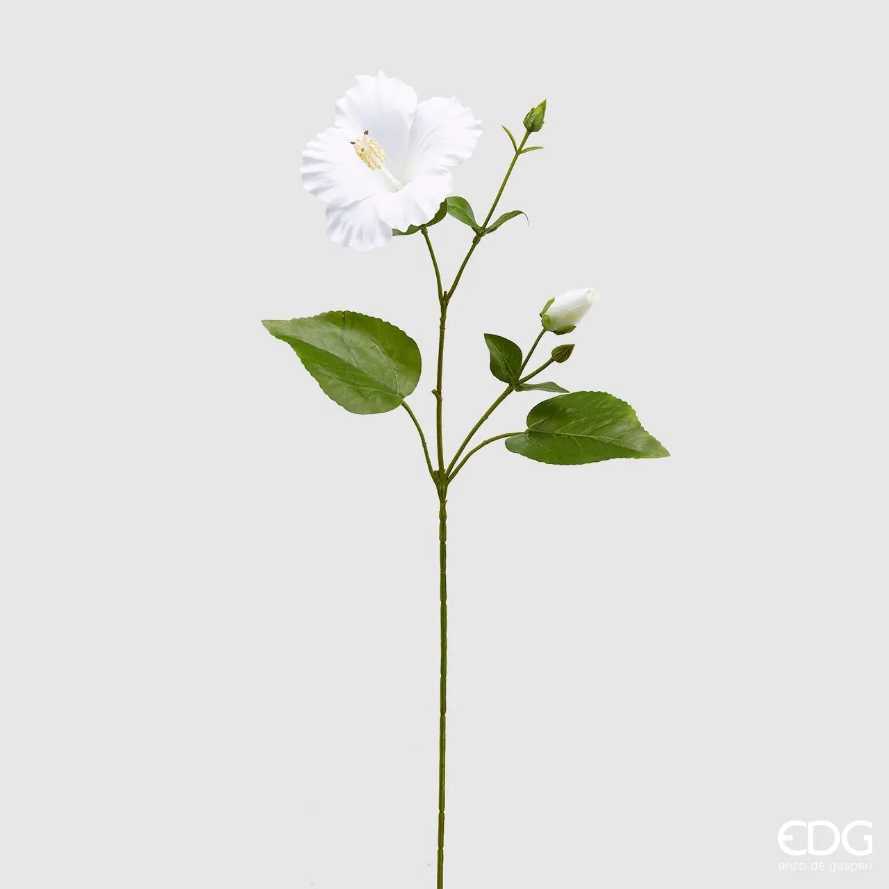 HIBISCUS REX RAMO REAL-TOUCH 68 EDG - 3 COLORI DISPONIBILI