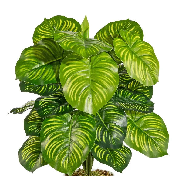 RAMO ARTIFICIALE MARANTA REAL-TOUCH 50 CM - GAS3319037-50