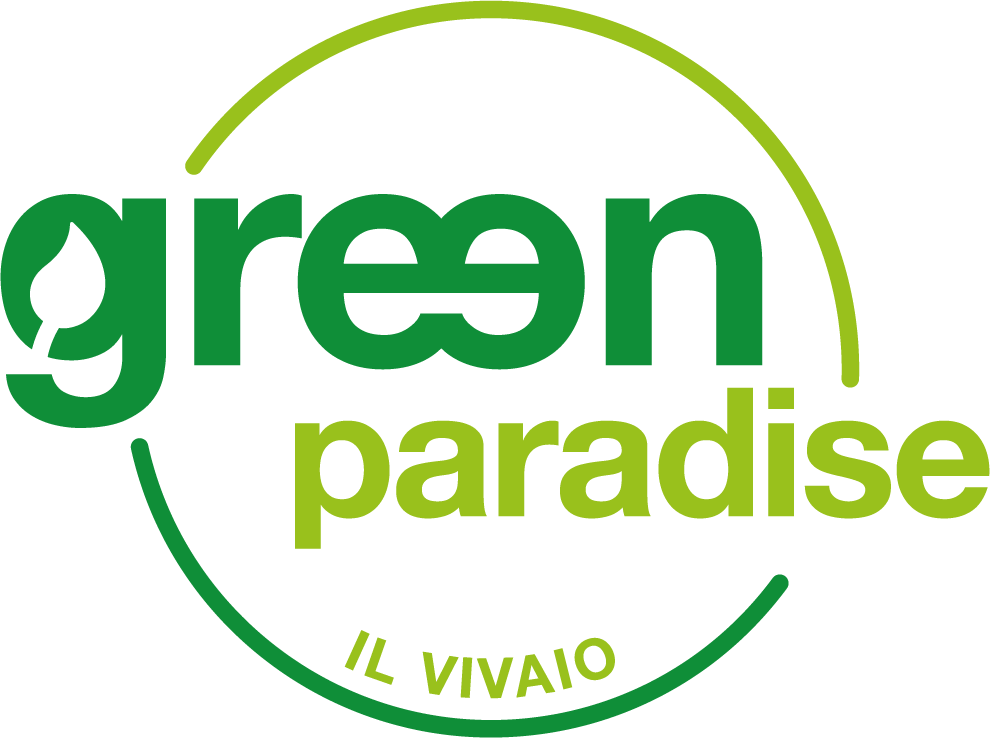 IL MERCATONE SAS DI CIOTOLA ANTONIO