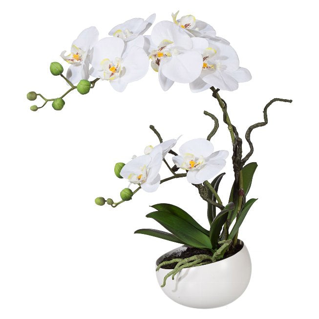 ORCHIDEA PHALENOPSIS ARTIFICIALE REAL-TOUCH IN VASO CERAMICA 50 CM - GAS115812-40