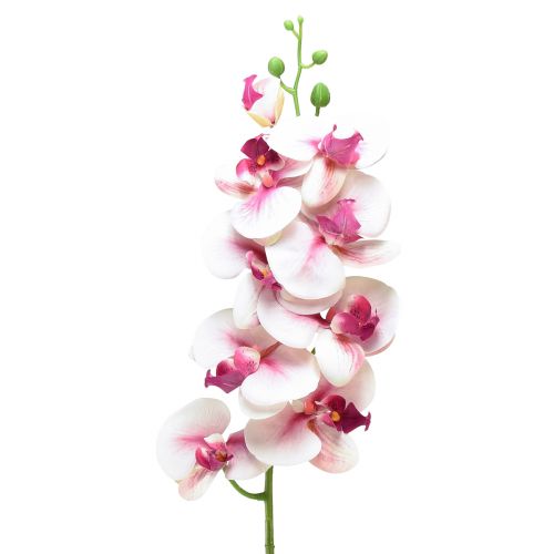 Orchidea Phalaenopsis h 87 cm - Vari Colori
