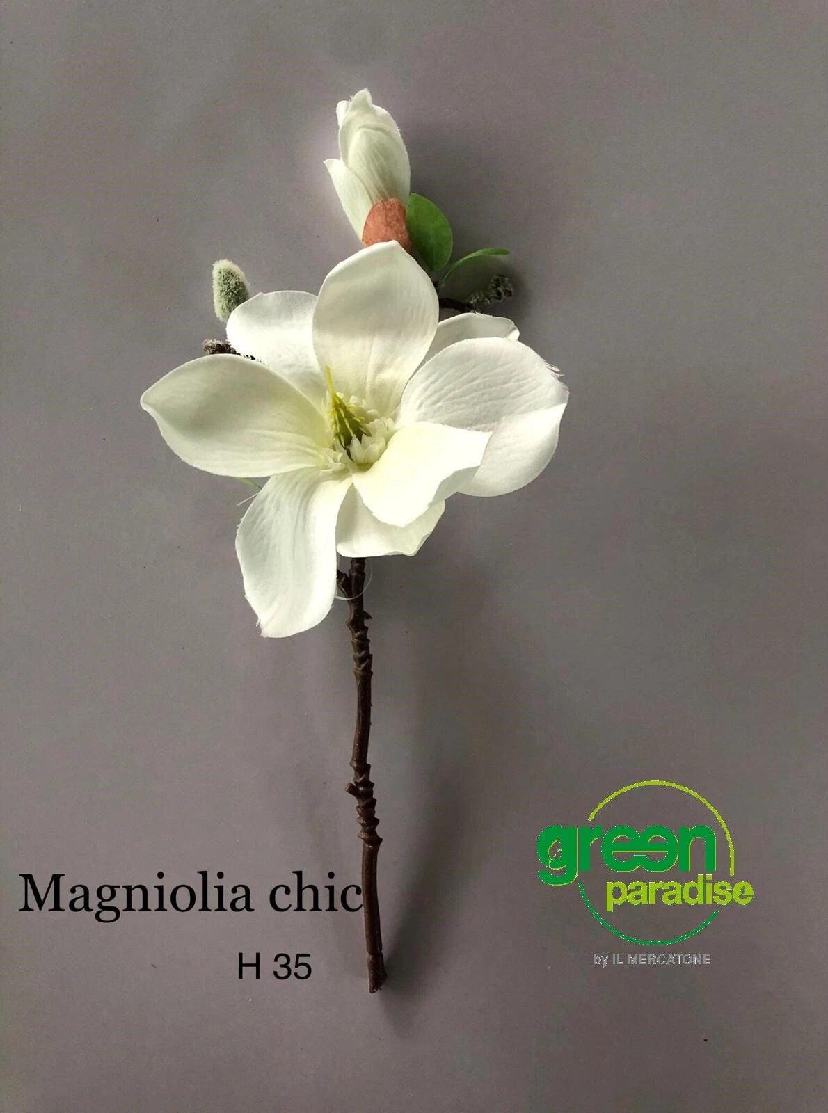Magnolia 37 cm - Vari Colori