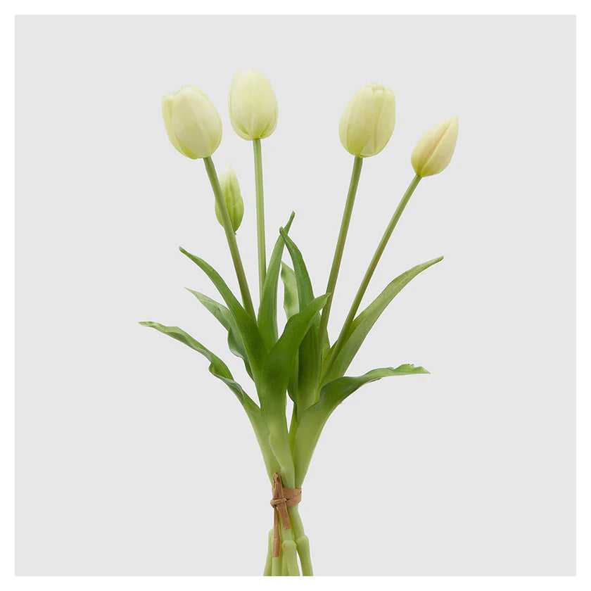 TULIPANI EDG - 3 VARIANTI DI COLORE