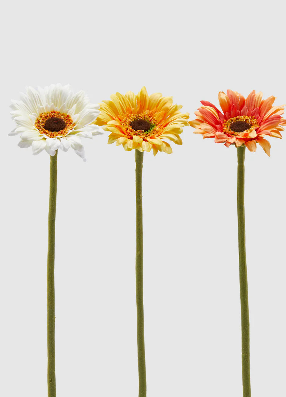 Gerbera Ramo h 50 cm - 3 colori disponibili