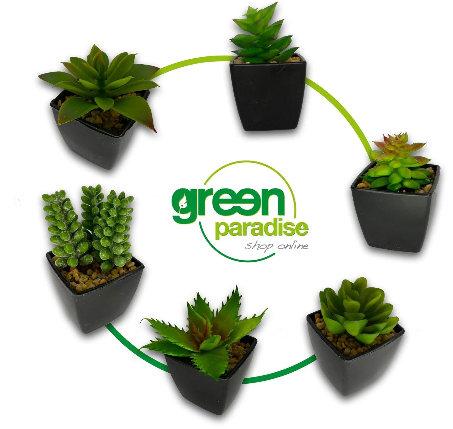 PIANTA GRASSA ARTIFICIALE MINI BOMBONIERA IDEA REGALO