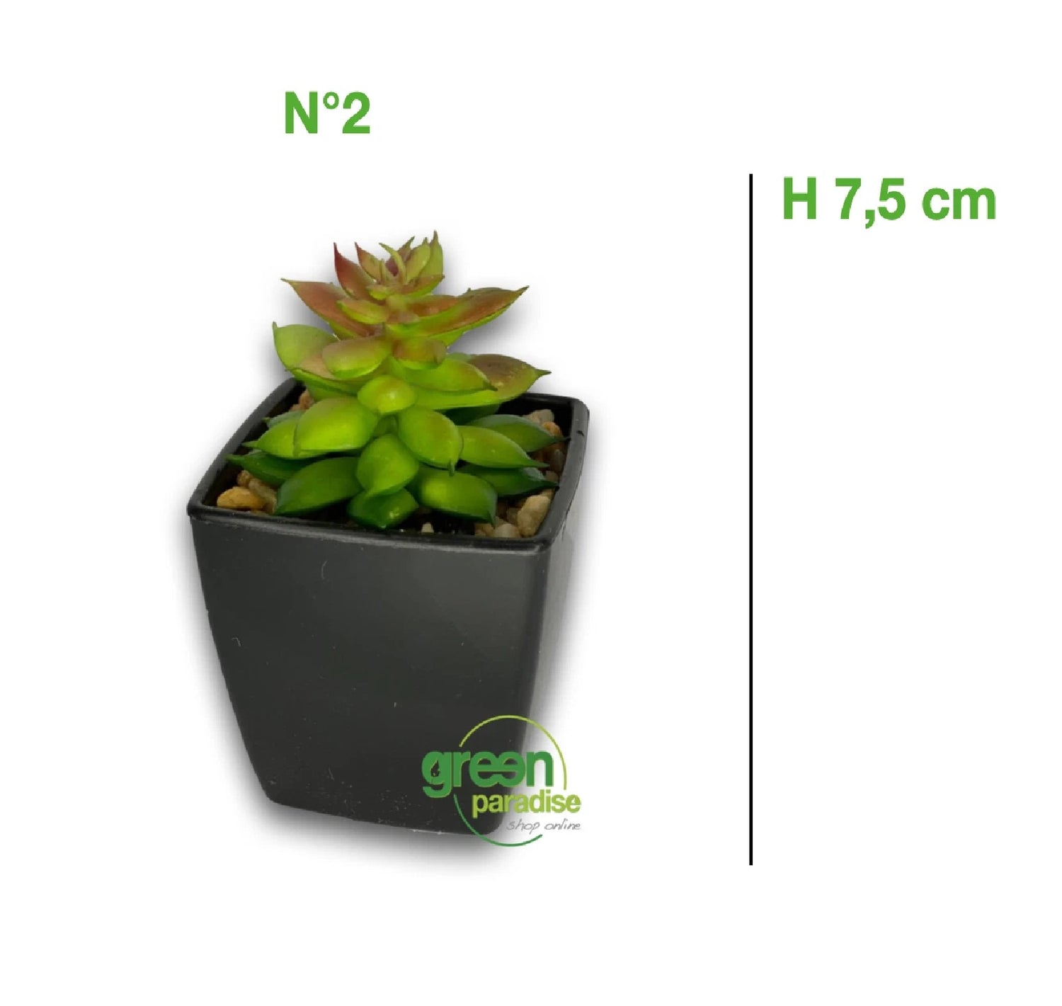 PIANTA GRASSA ARTIFICIALE MINI BOMBONIERA IDEA REGALO