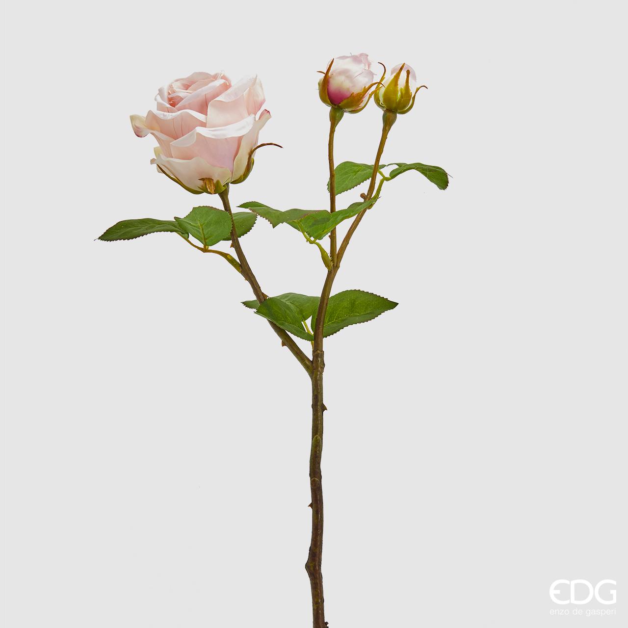 Rosa Lucy Rex Con Boccioli h60 - EDG215339.33