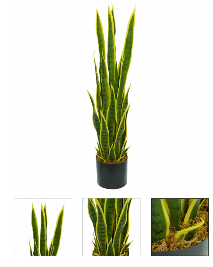 Sansevieria Artificiale con foglie verdi e gialle real-touch in vaso di plastica nero 90 cm - JJ-SANSEVIERA-90CM