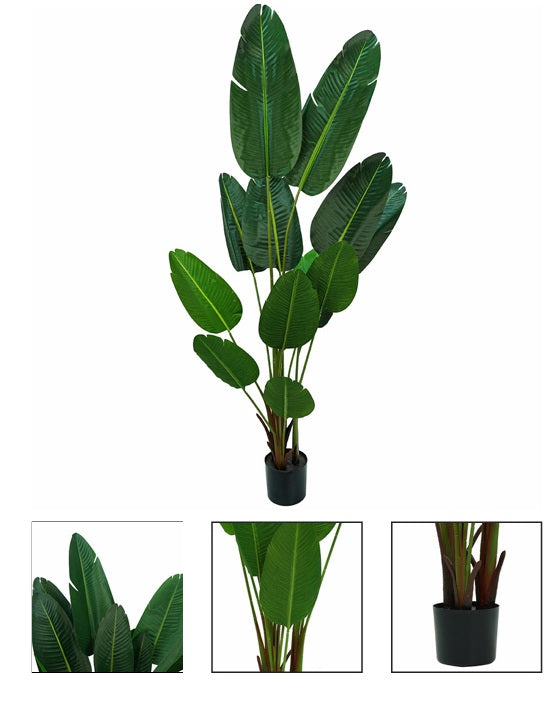 Pianta artificiale Strelitzia Nicolai in PVC h 180 con vaso in plastica nero e riemp. cemento - JJ-STRELITZIA-180CM
