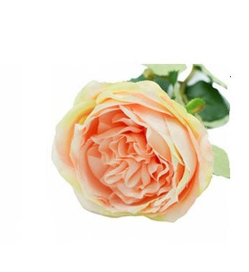 Camelia fiore artificiale color pesca con ramo - FLOSTL0817PH