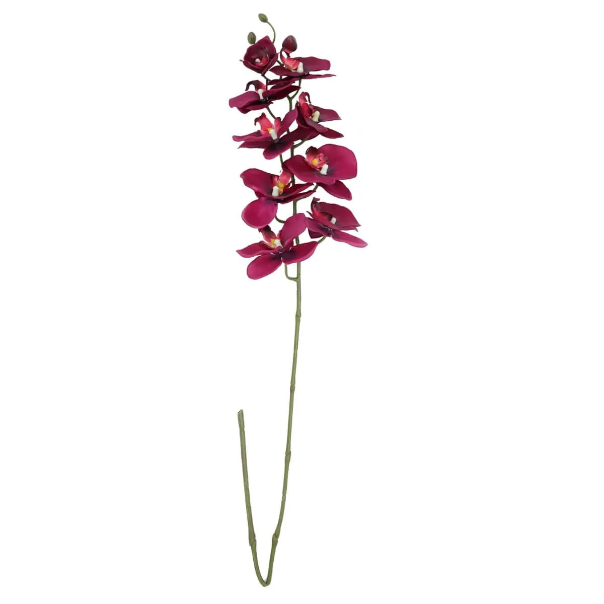 Orchidea Phalaenopsis H 98 CM - Vari Colori Disponibili