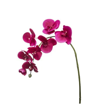 Orchidea Phalaenopsis 87 cm - 3 Colori Disponibili