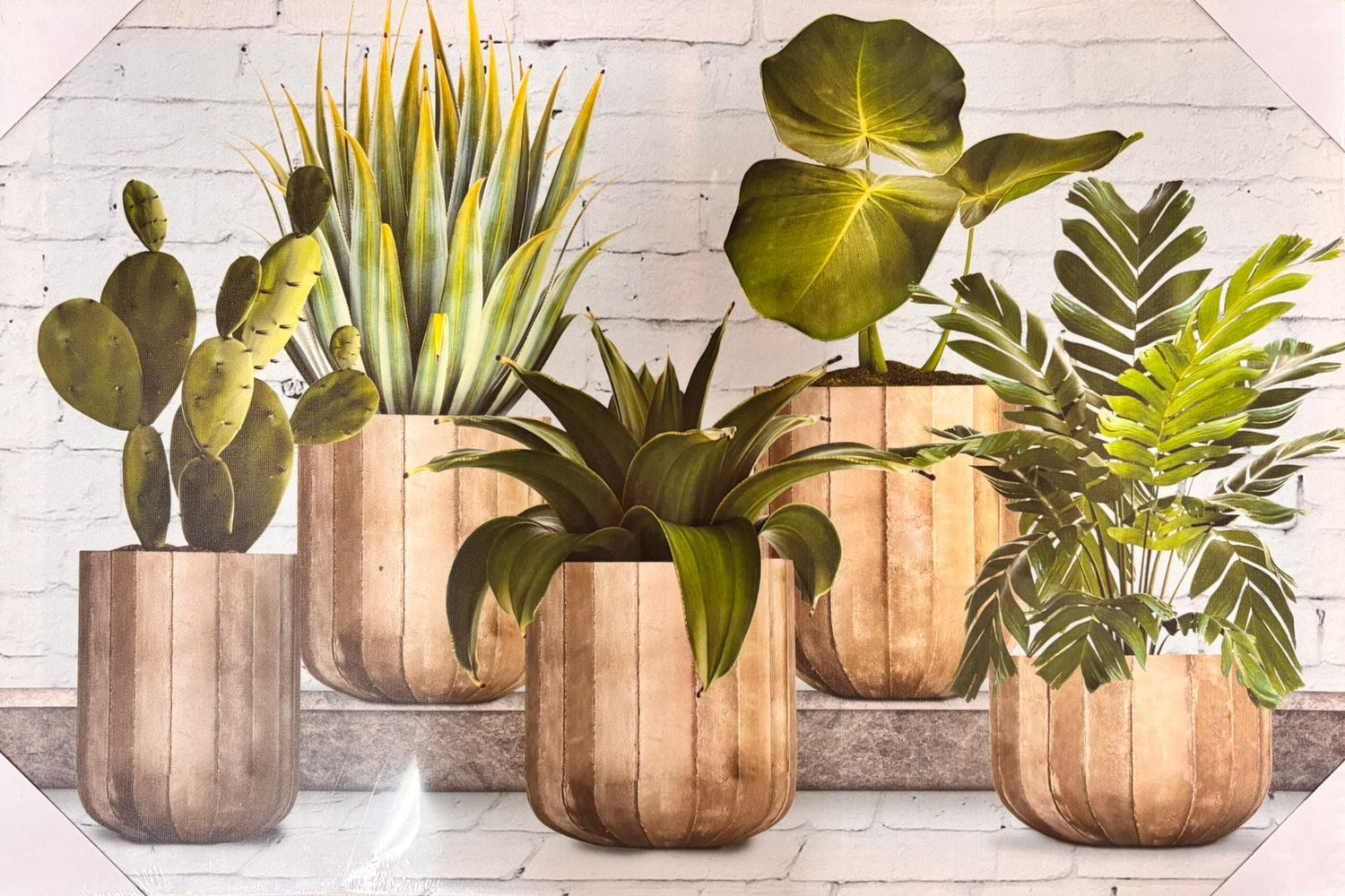 Quadri\Tela con Decorazioni Piante - 5 Varianti Disponibili