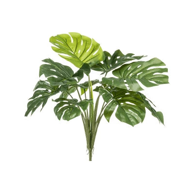 MONSTERA BUSCH 50 CM - GAS3319035-50