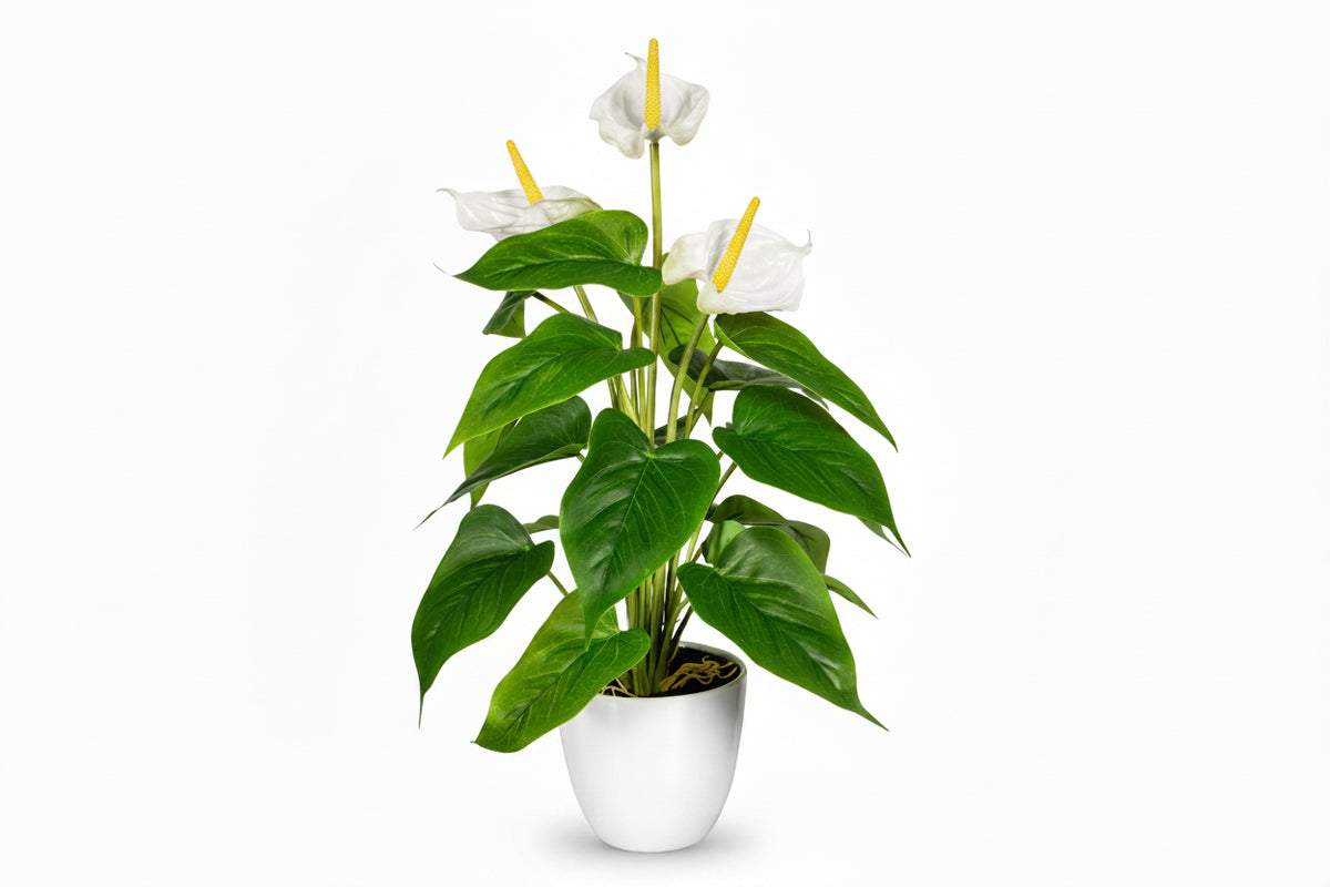 PIANTA ARTIFICIALE ANTHURIUM REAL-TOUCH 40 CM IN VASO PLASTICA - 3 COLORI DISPONIBILI
