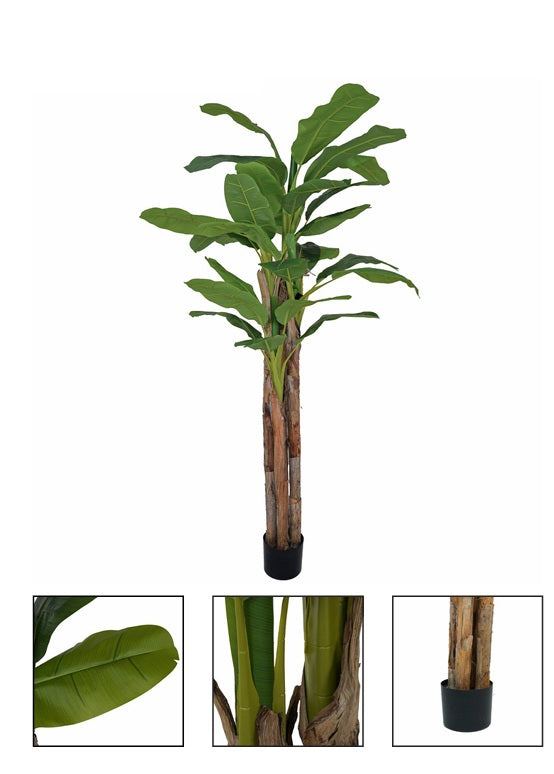 Pianta artificiale banano h 140 cm con tronco naturale e vaso nero e riemp. cemento - JJ-BANANO-140CM