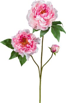Peonie Artificiali 80 cm - 3 colori disponibili