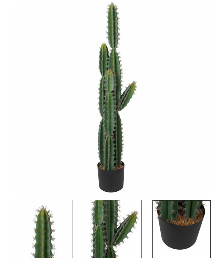 Cactus Euphorbia artificiale in PU con vaso in plastica nero e cemento - JJ-CACTUS-150CM