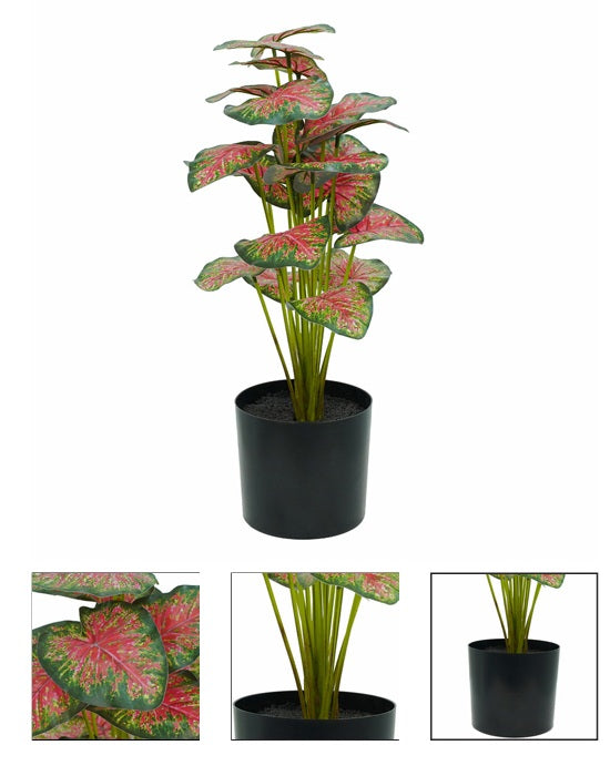 Pianta artificiale Calathea rossa con vaso grigio h 38 cm - JJSTQ089-S