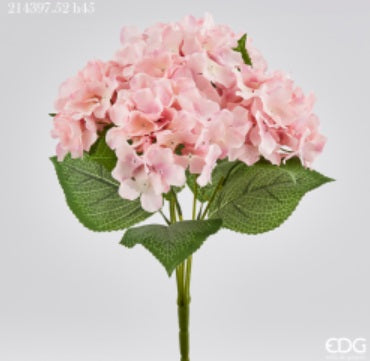 ORTENSIA BLISS PINK H 45 EDG - 2 COLORI DISPONIBILI