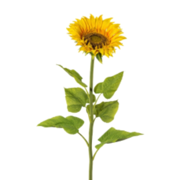 GIRASOLE XL 110 CM H , Ø 22 CM - GAS1017820-00