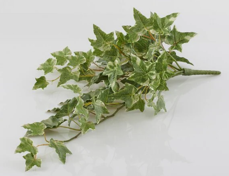 Edera Artificiale EDG 51 cm - EDG232046,72