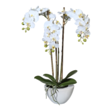 ORCHIDEA PHALAENOPSIS 51CM IN VASO CERAMICA REAL TOUCH - GAS1116011-40