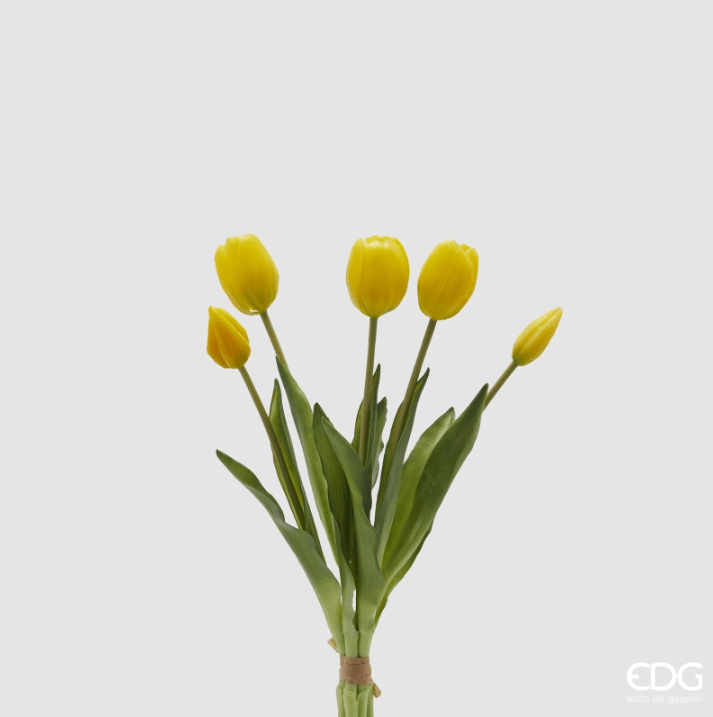 TULIPANI EDG - 3 VARIANTI DI COLORE