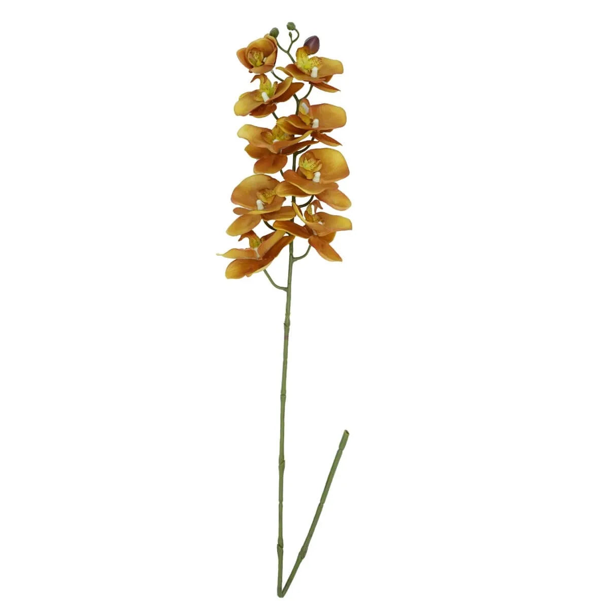 Orchidea Phalaenopsis H 98 CM - Vari Colori Disponibili