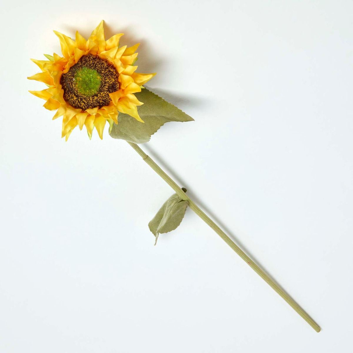 Girasole d13 h66 - GAS108817-00