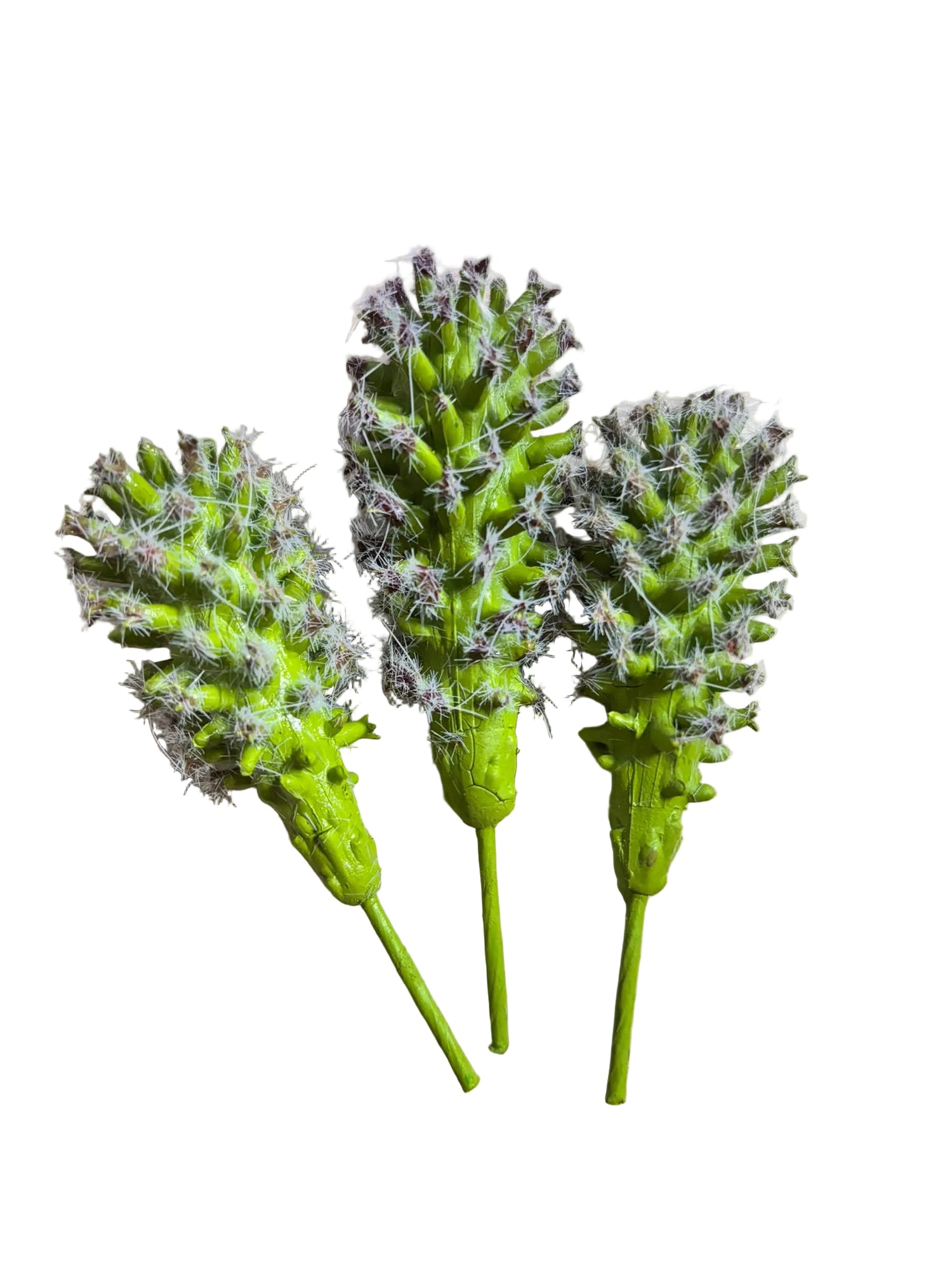 Euphorbia schoenlandi EDG pianta grassa artificiale H 10 cm, pack da 3 pz - EDG234115,71