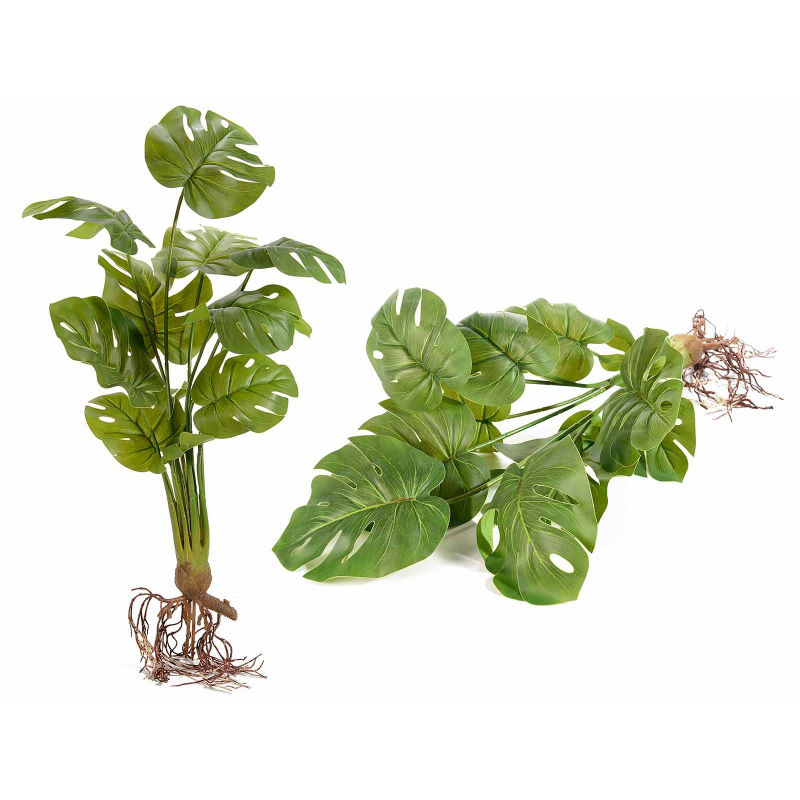 EDG MONSTERA CHIC CON RADICI H44 REAL-TOUCH - EDG232400-70