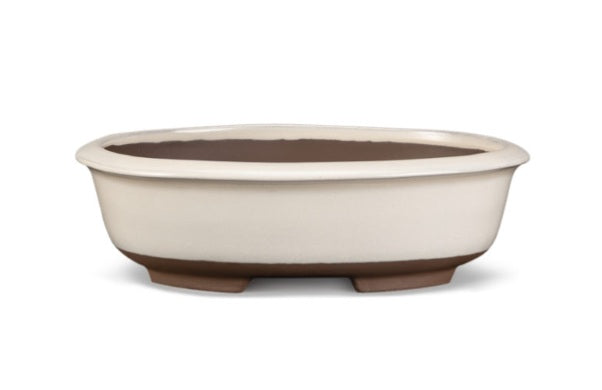 VASO BONSAI OVALE TREVISO COLOR PANNA SMALTATO IN 2 MISURE DISPONIBILI - CERT6000-001 - CERT6001-001