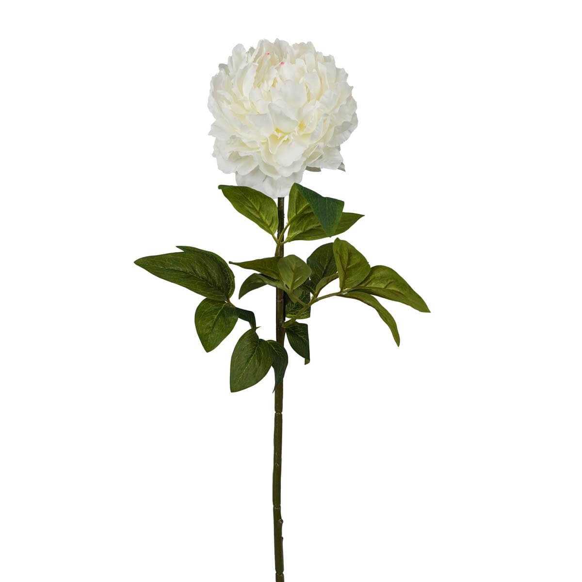 Fiore artificiale di Peonia color avorio con ramo h 72 cm - jjstl0320-D